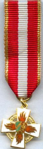 272-6 - Feuerwehr-Ehrenzeichen (FEZ) - NRW Gold 16mm-Miniaturschnalle