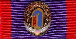 395 - Bundesleistungsabzeichen Bronze