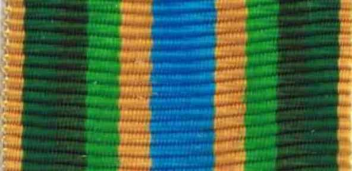 790 - Armed Forces Service Medal