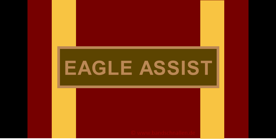 634-BW-Einsatz_eagle_assist_BS