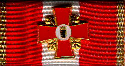 Feuerwehr und KatS-Ehrenzeichen Berlin Ehrenzeichen Gold Stufe 3