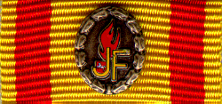 Ehrenspange der Niedersächsischen Jugendfeuerwehr, Bronze