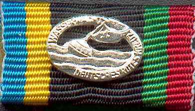 119 - Deutsches Rettungsschwimmerabzeichen Silber
