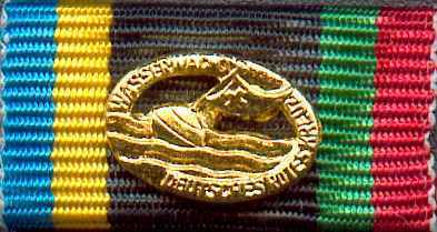 121 - Deutsches Rettungsschwimmerabzeichen WW - Gold