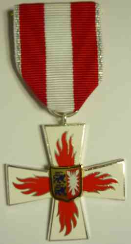 131-3 - Feuerwehr Schleswig-Holstein, Brandschutz-Ehrenzeichen I, Silber 25 Jahre (Medaille)