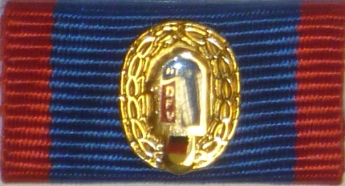 159 - Deutscher Feuerwehrverband - Bundesleistungsabzeichen Gold