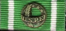 190 - Europäisches Polizei-Leistungsabzeichen (EPLA), Bronze