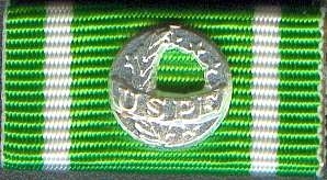 191 - Europäisches Polizei-Leistungsabzeichen Silber - Ehrenzeichen