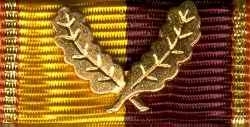 285 - Brandschutz Ehrenzeichen 40 Jahre Gold