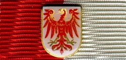484 -  LFV Brandenburg Ehrenkreuz