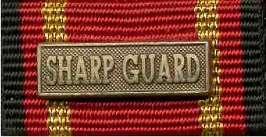 668 - Bundeswehr-Einsatzmedaille Sharp Guard