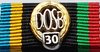 060-30 - Sportabzeichen - DOSB Gold 30/Gold BiColor