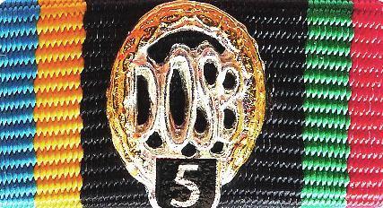 060-05 - Sportabzeichen - DOSB Gold 5 - BiColor