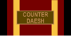 231 - Bundeswehr-Einsatzmedaille Counter Daesh