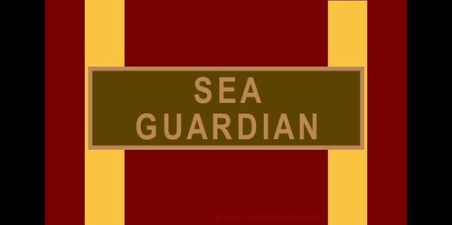 358-3 - Bundeswehr-Einsatzmedaille - "Sea Guardian"