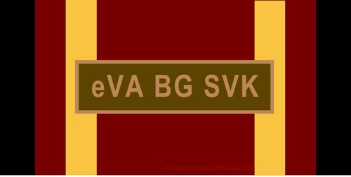 640 - Bundeswehr-Servicemedal - eVA BG SVK